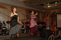 DSC_0579.JPG (80564 bytes)