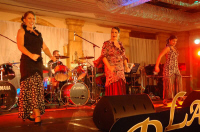 DSC_0582.JPG (91951 bytes)