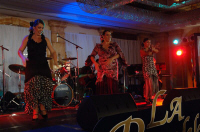 DSC_0583.JPG (74701 bytes)