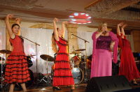 DSC_0586.JPG (85024 bytes)