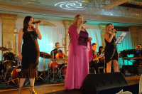 DSC_0713.JPG (85714 bytes)