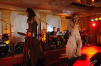 DSC_0742.JPG (80348 bytes)