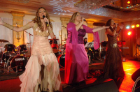 DSC_0752.JPG (81934 bytes)